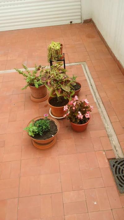 Ferienwohnung Kurmi Olavarría Exterior foto